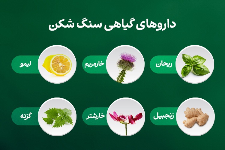 معرفی قوی‌ترین داروی گیاهی سنگ‌شکن