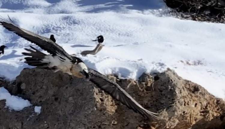 photo_2025-12-27_01-26-38