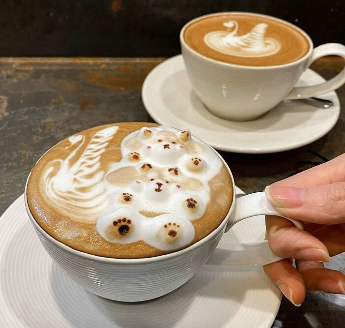 cool-latte-art-8-6593d6804293e__700