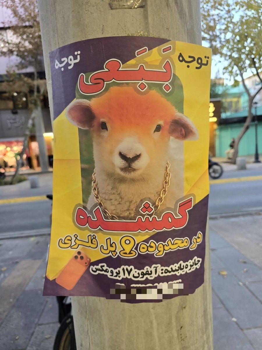 photo_2025-12-16_22-41-19