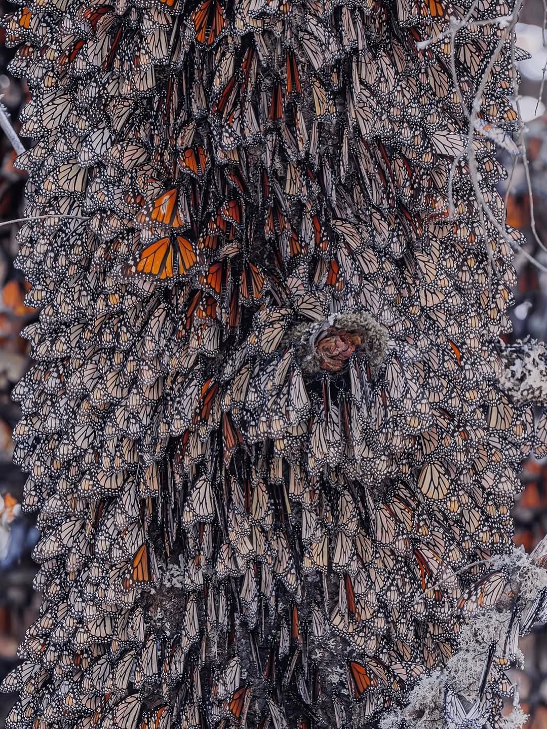 570246473_18552171976044850_5118004369797184480_n