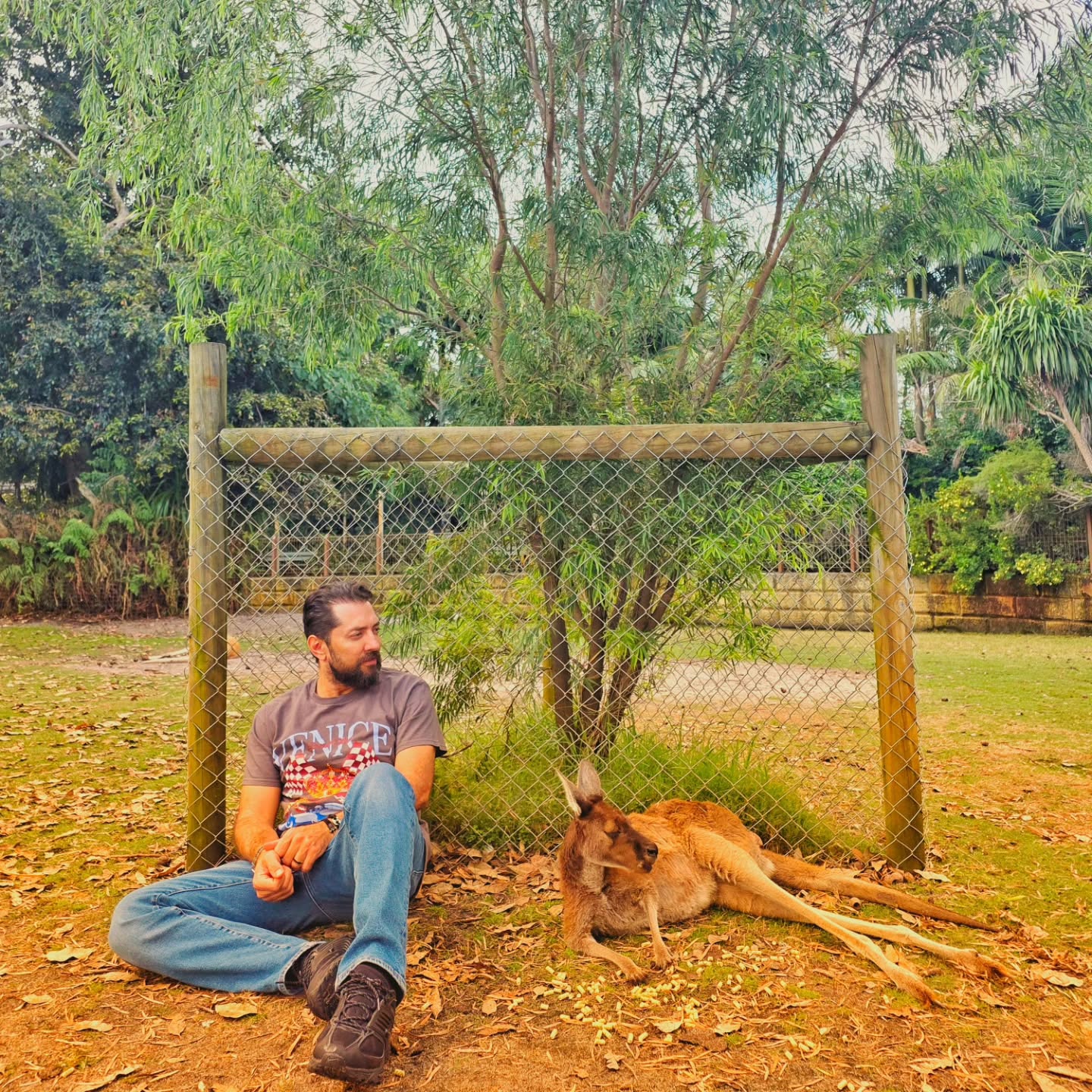 photo_2025-11-03_12-45-23 (2)