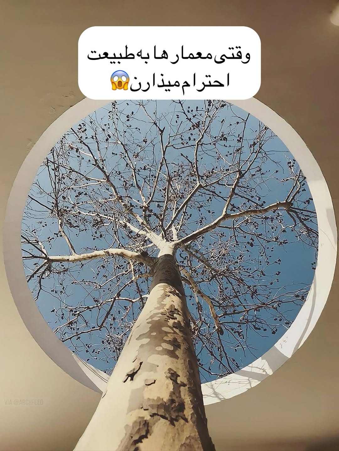 photo_2025-11-04_11-38-08