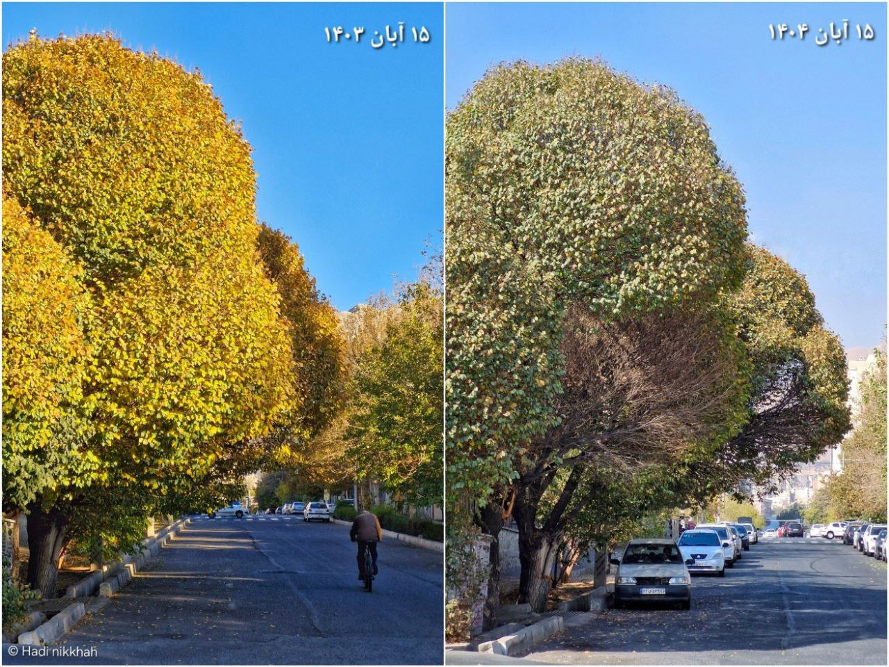 photo_2025-11-07_10-00-54