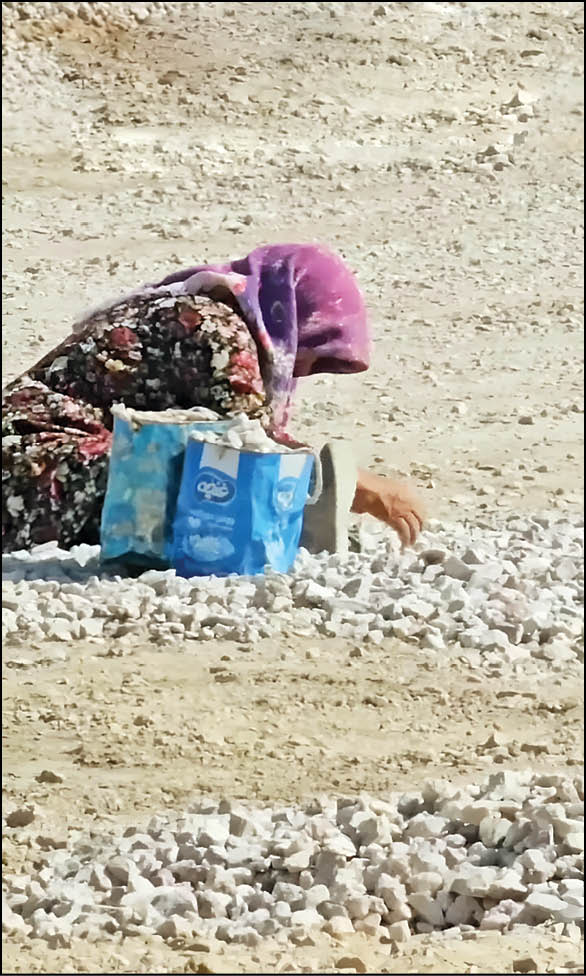 این زنان از زیر سنگ پول در‌می‌آورند!