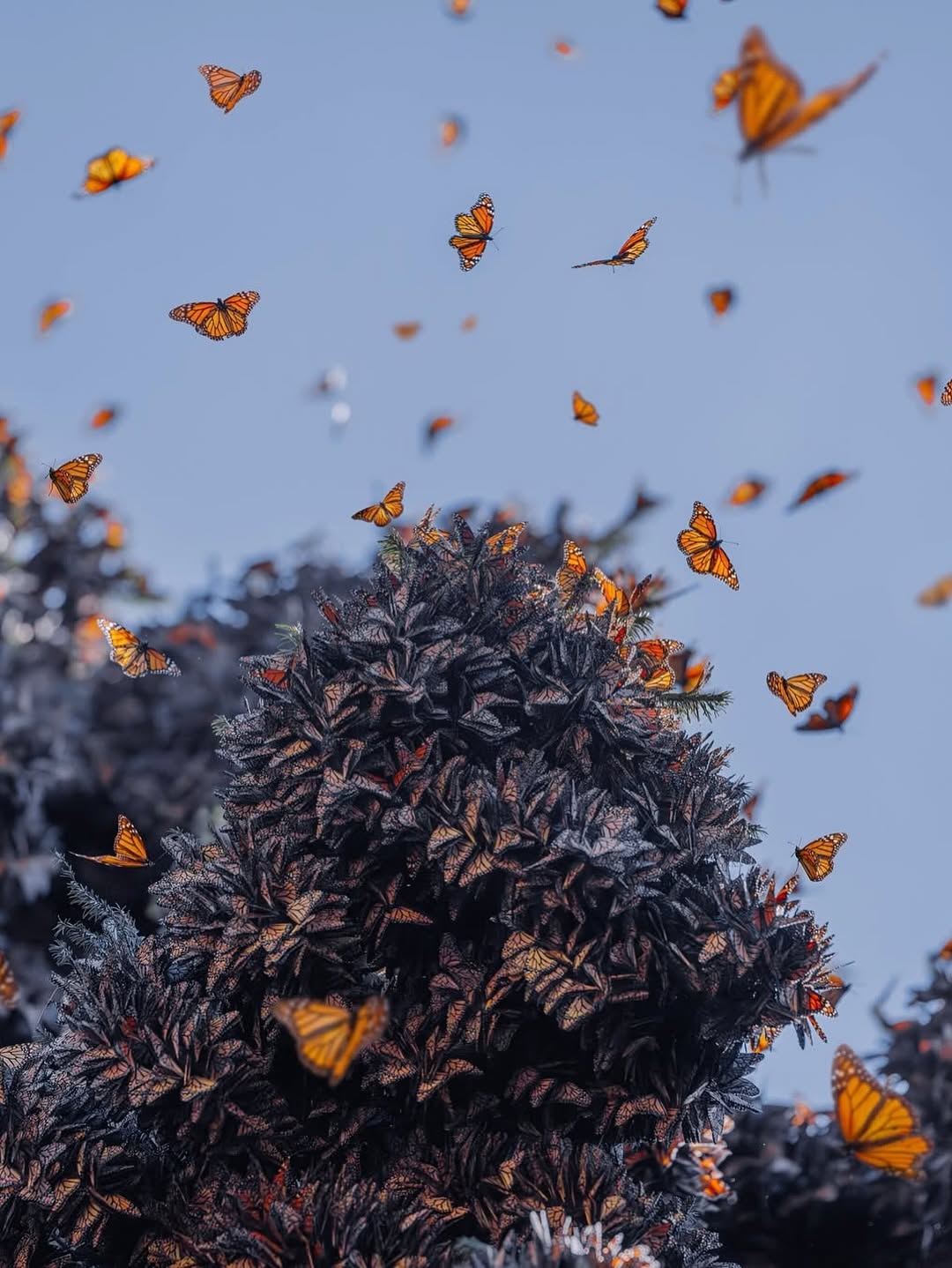 570860540_18552172057044850_1846562042860739465_n