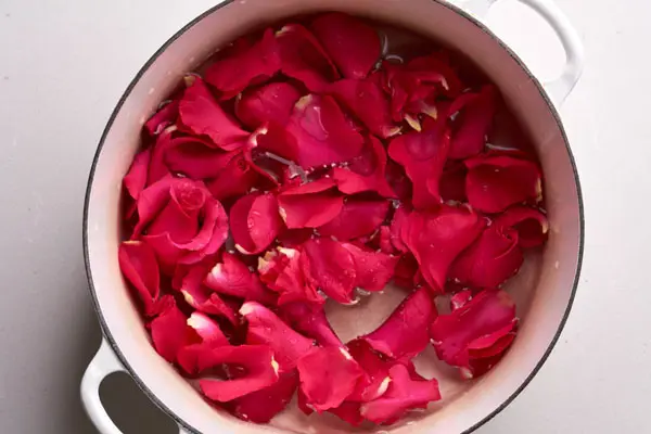 Rose-Petal-in-water