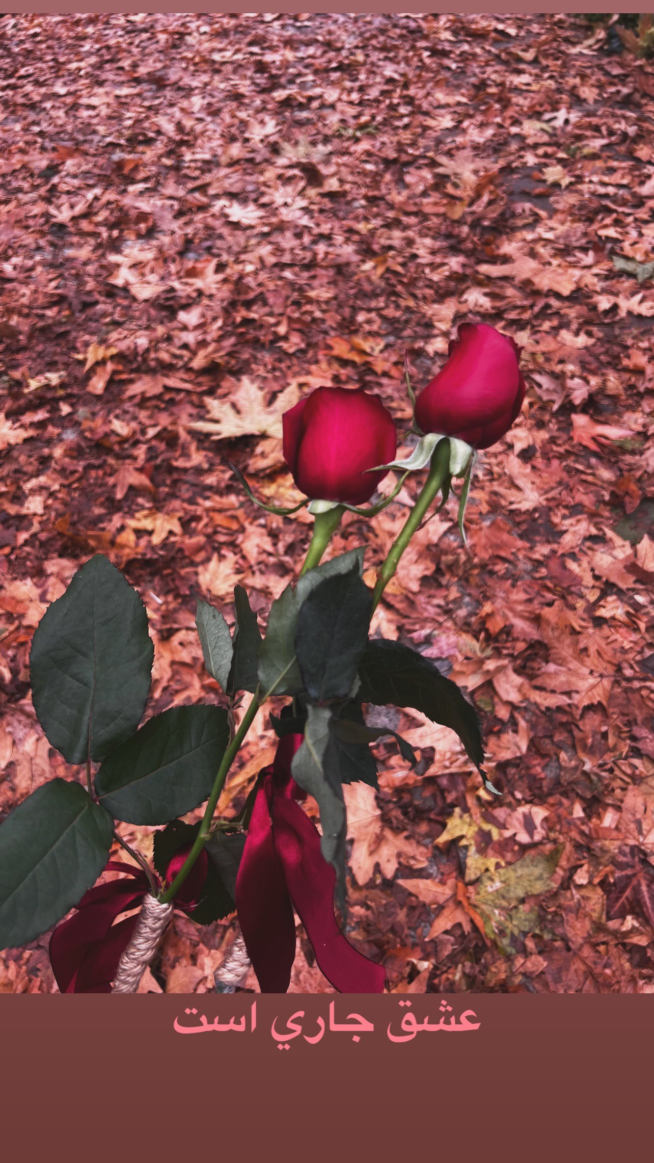 photo_2025-12-15_18-51-08