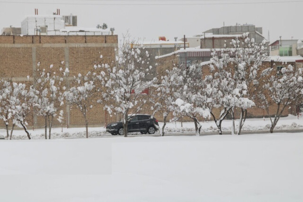 تصاویری زیبا و چشم‌نواز از بارش برف در یزد
