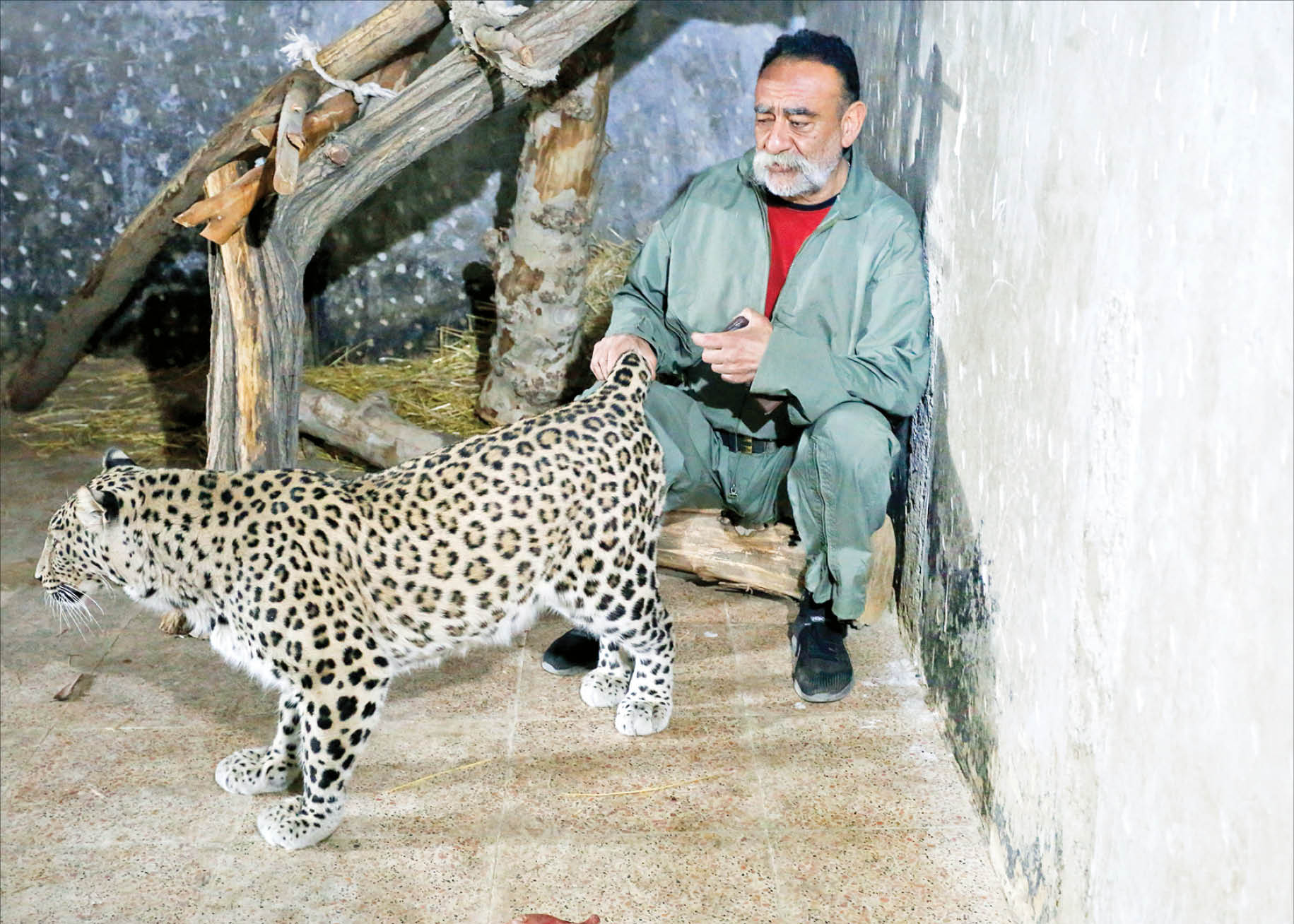 این مرد  700 حیوان عجیب در خانه‌اش نگهداری می‌کند!