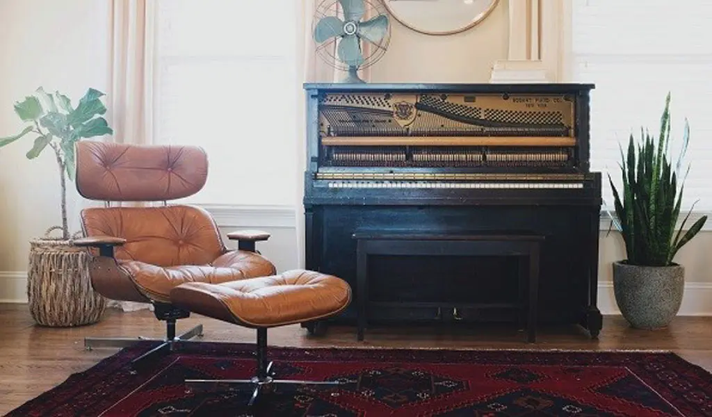 Living-room-without-sofa-5