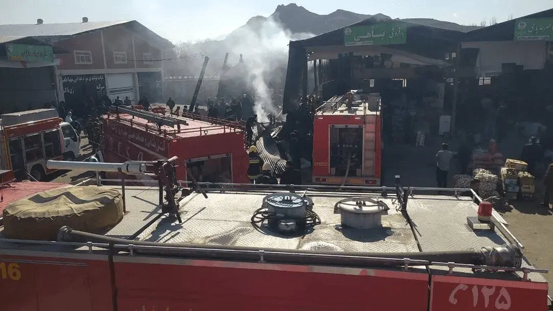 photo_2026-02-24_11-30-31