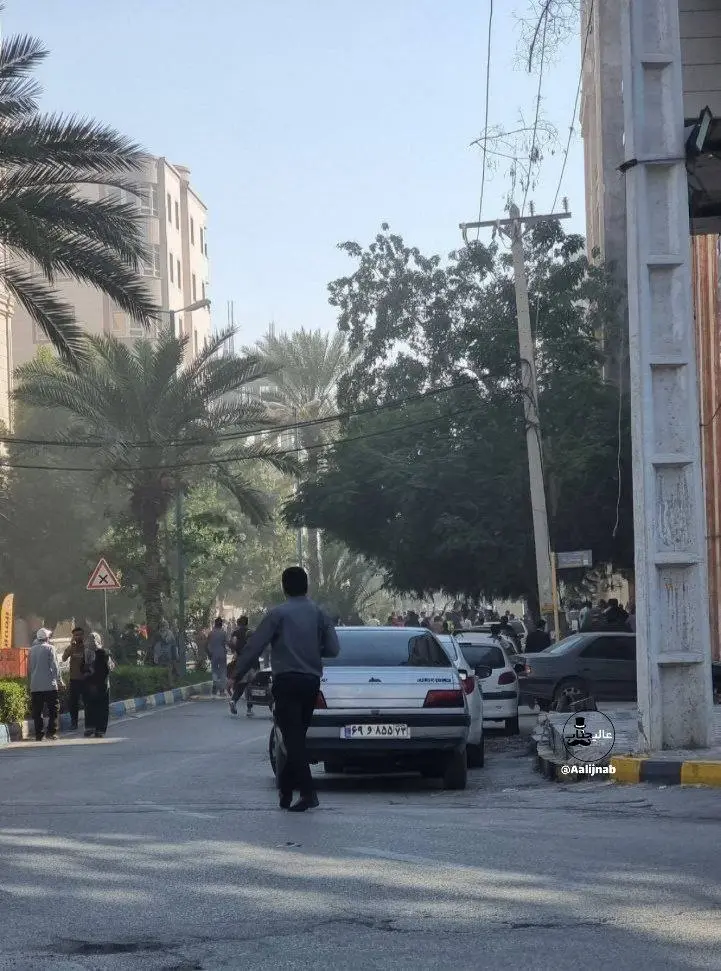 photo_2026-01-31_14-41-34