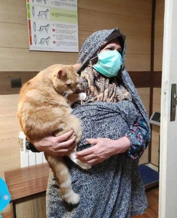 عکس بامزه از یک مادربزرگ و گربه‌اش در دامپزشکی
