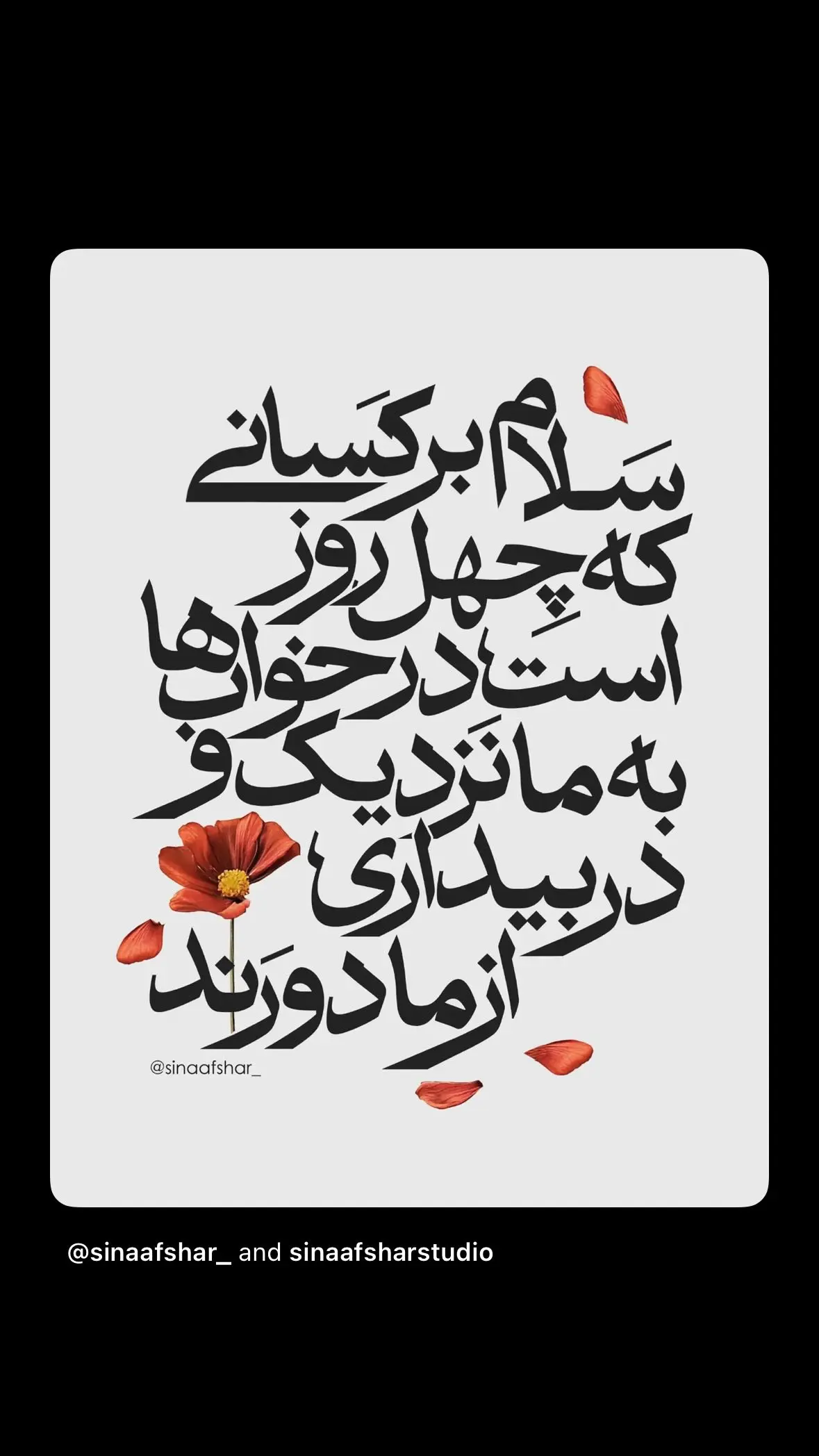 photo_2026-02-17_22-47-02