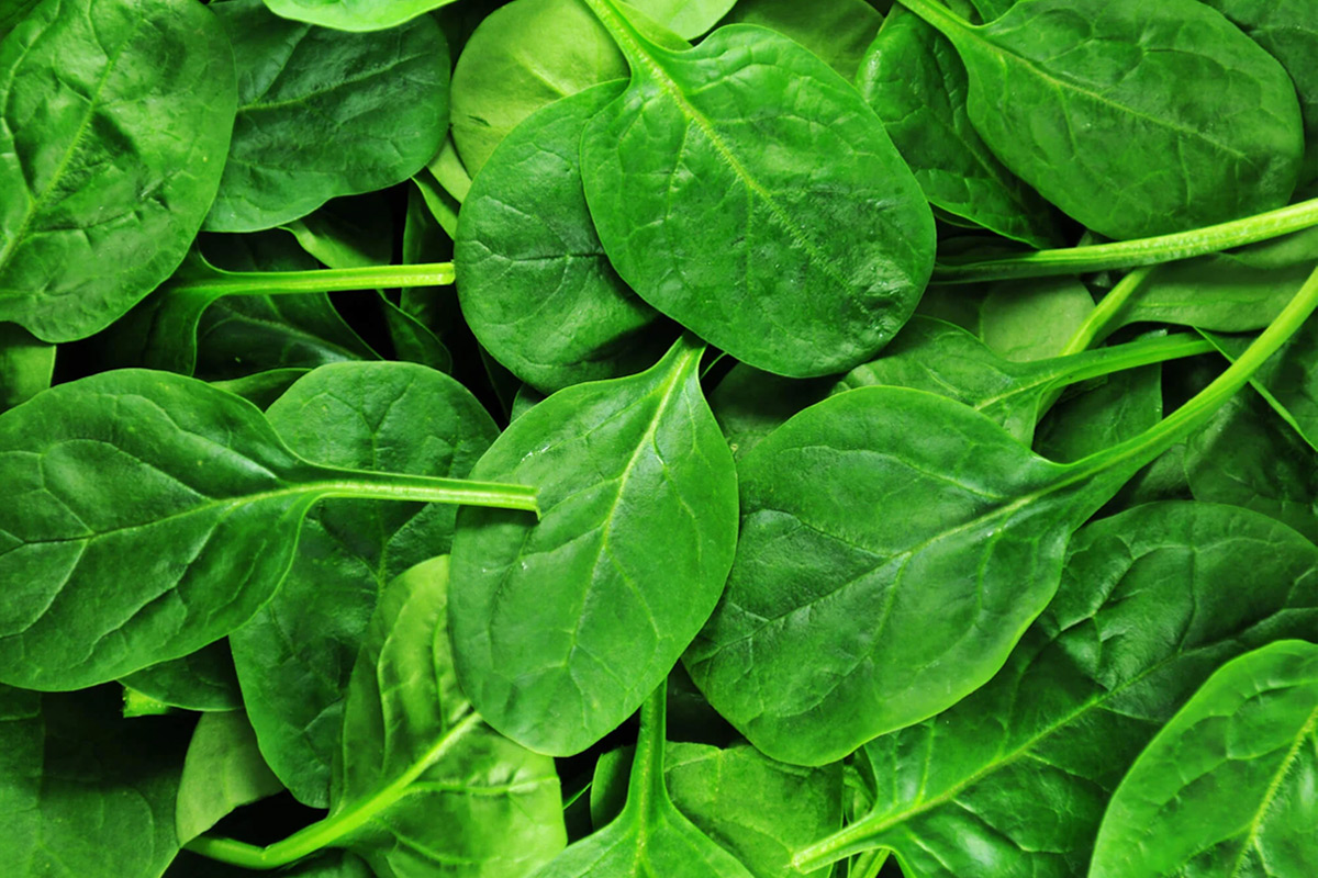 spinach