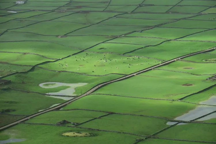 bought-a-camera-off-an-auction-found-possibly-the-holy-2-68ff83a1d829d3e43f046c1f_11zon