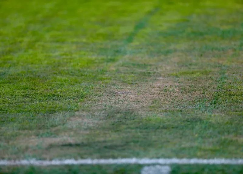 photo_2025-11-02_18-31-47