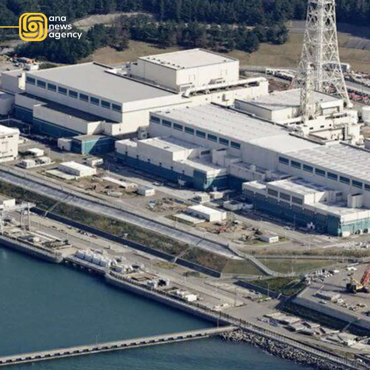 photo_2026-02-09_12-28-48