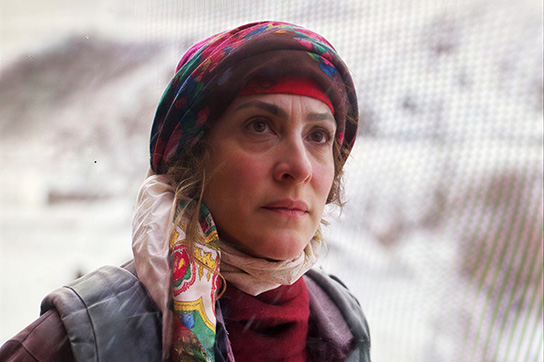 903aabd5-7482-4a94-89a2-b743b642c572