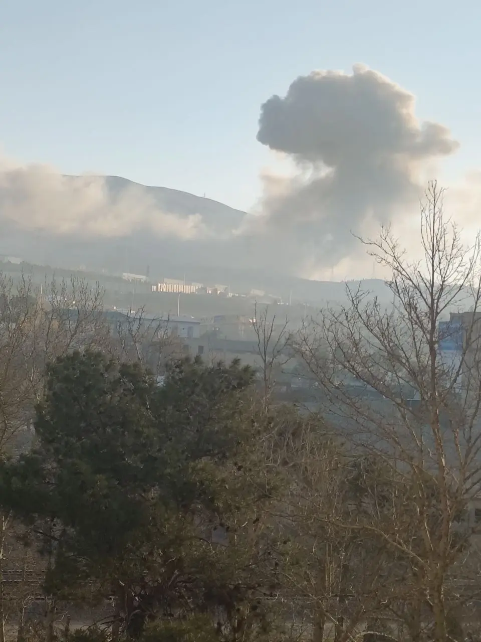 photo_2026-03-06_08-25-40