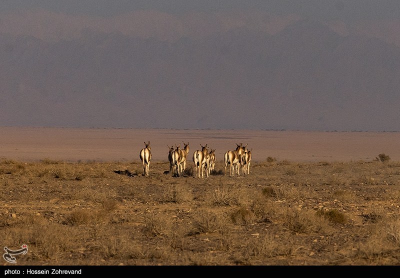 1404081012521599334542004