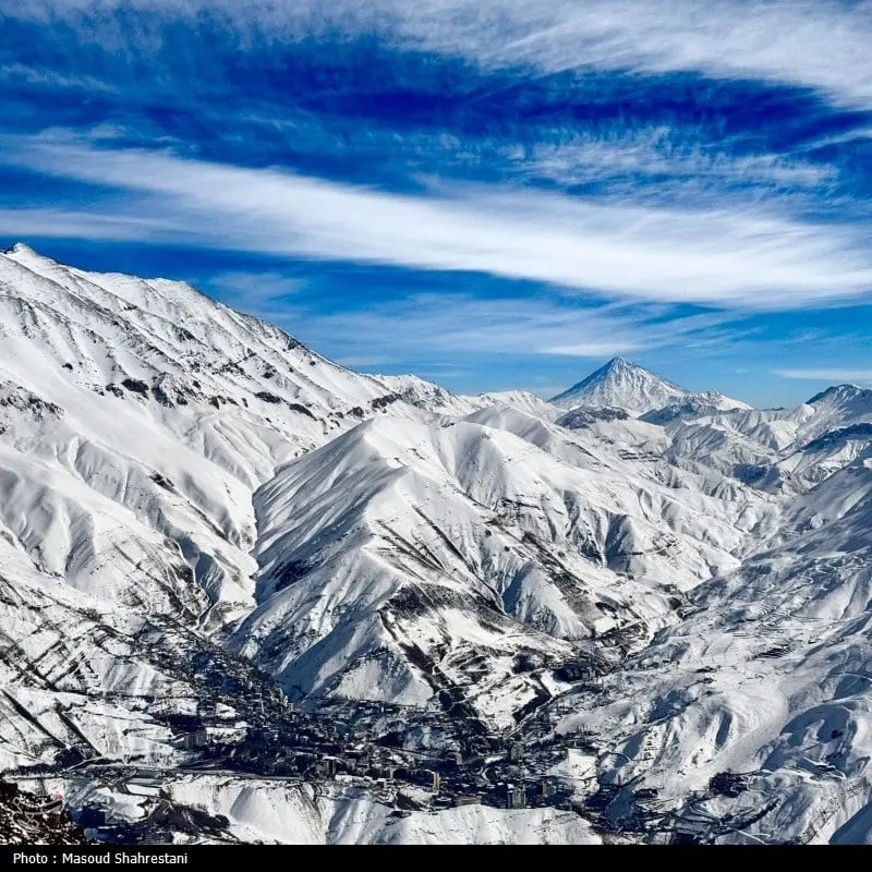 photo_2026-01-31_11-08-08