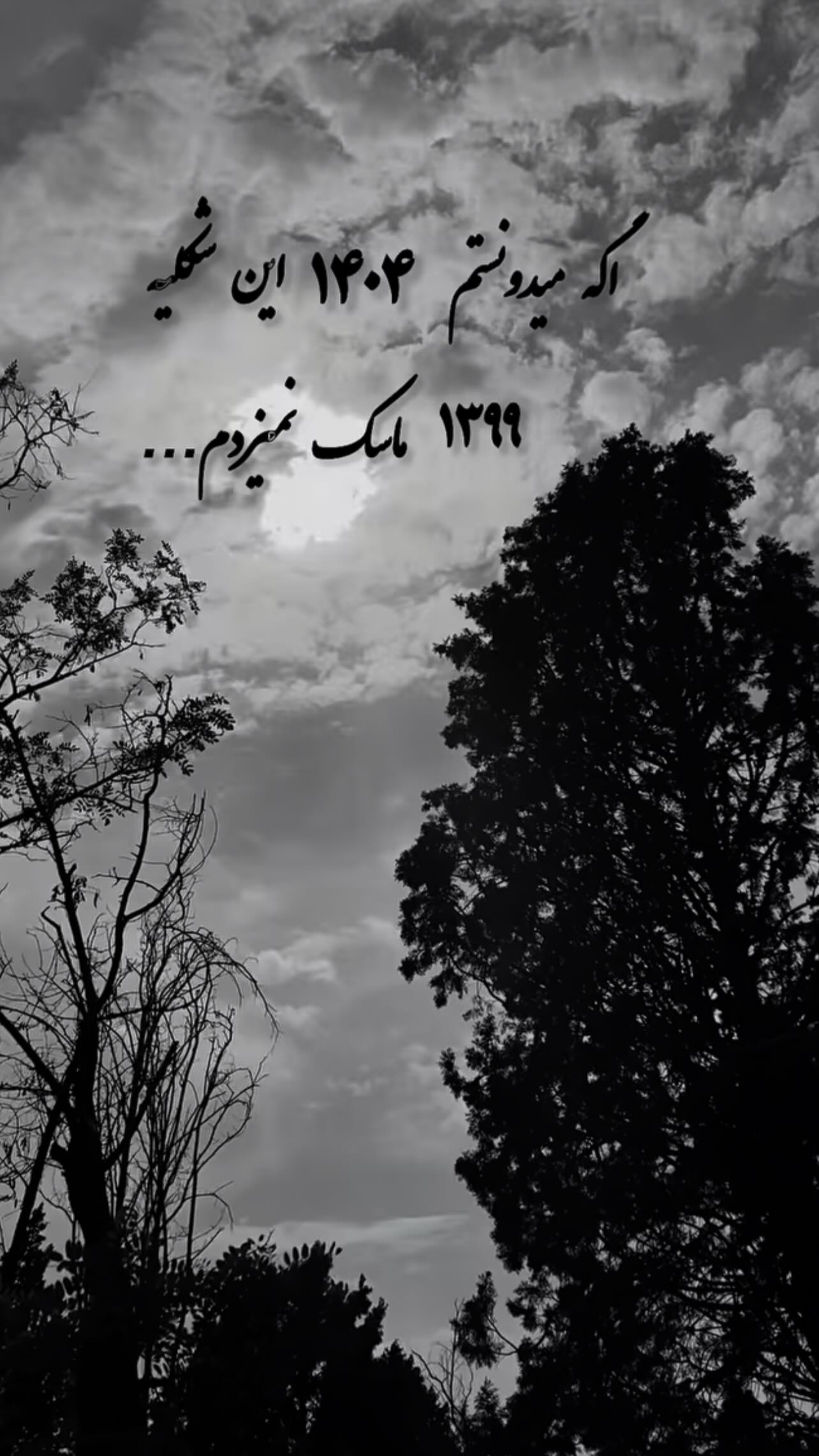 photo_2025-12-31_19-49-49