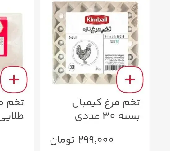 photo_2026-02-12_22-05-33