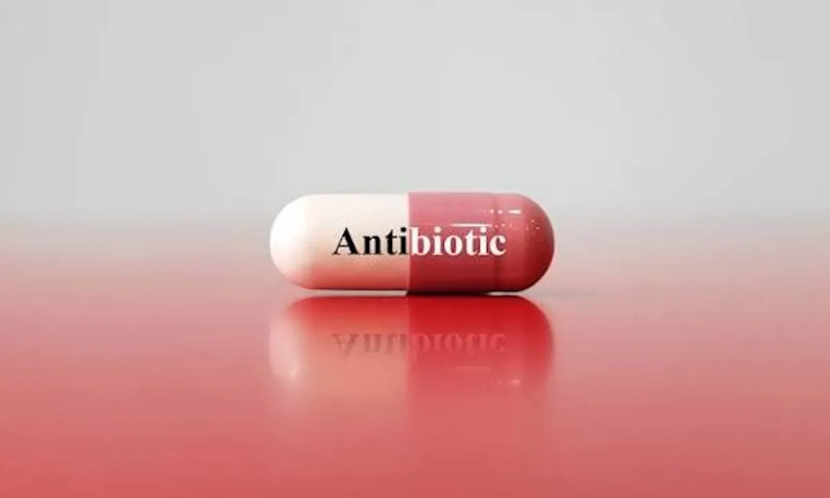 b4073b1eZTp3ZWJwfGY6MjU4NDkzMC5qcGd8ZnVpOjI0Njk3NTB8bDpmYXx2OjE