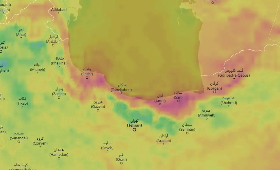 photo_2026-02-19_11-09-48
