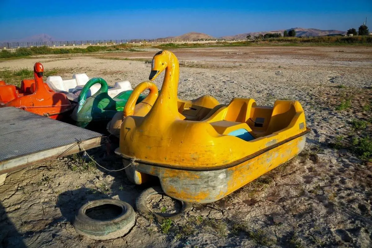 مرگ+سراب+نیلوفرِ+کرمانشاه