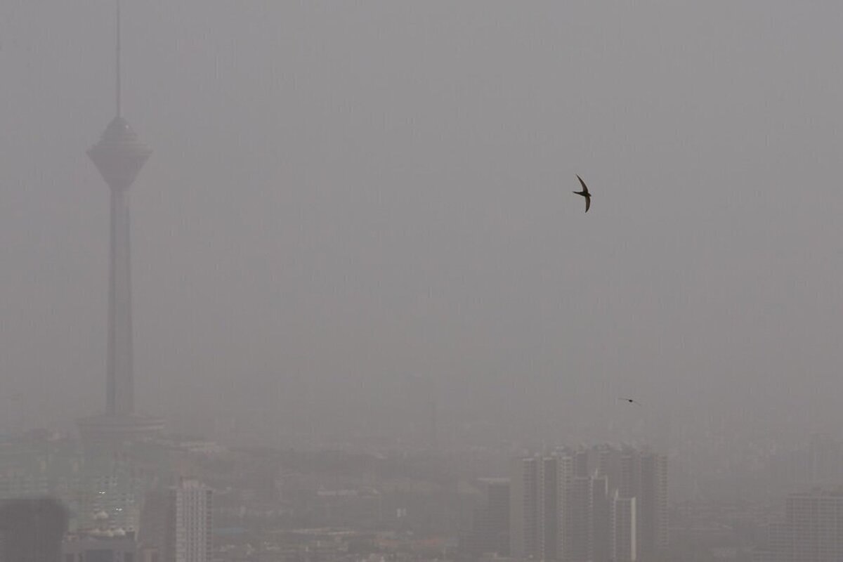 photo_2025-12-02_18-24-49