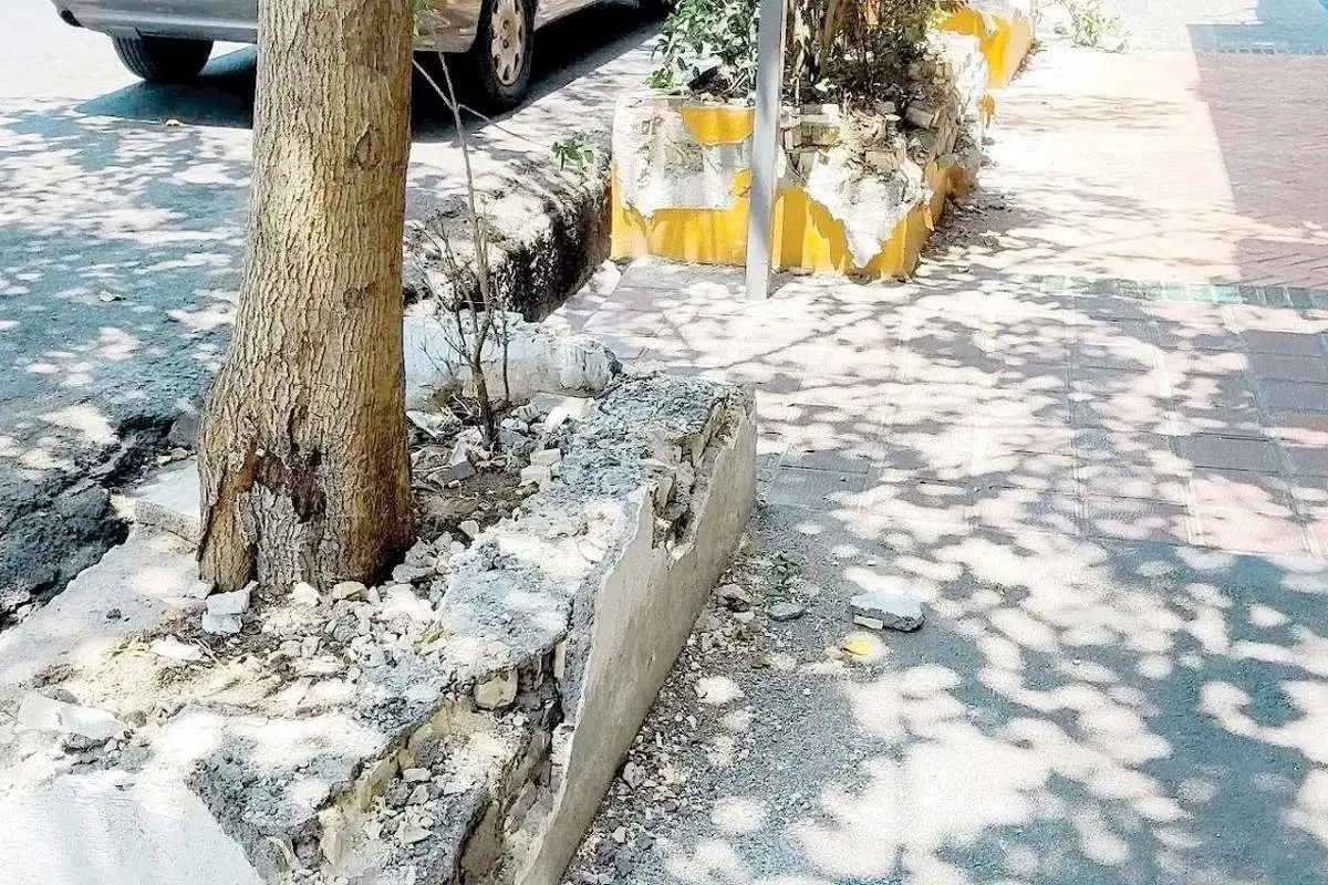 کافه+خیابان+سنایی
