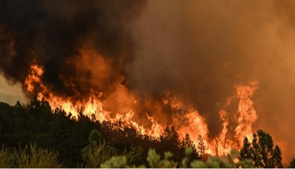 a1d4480c-5e8d-45c7-ba80-45e226cf8943