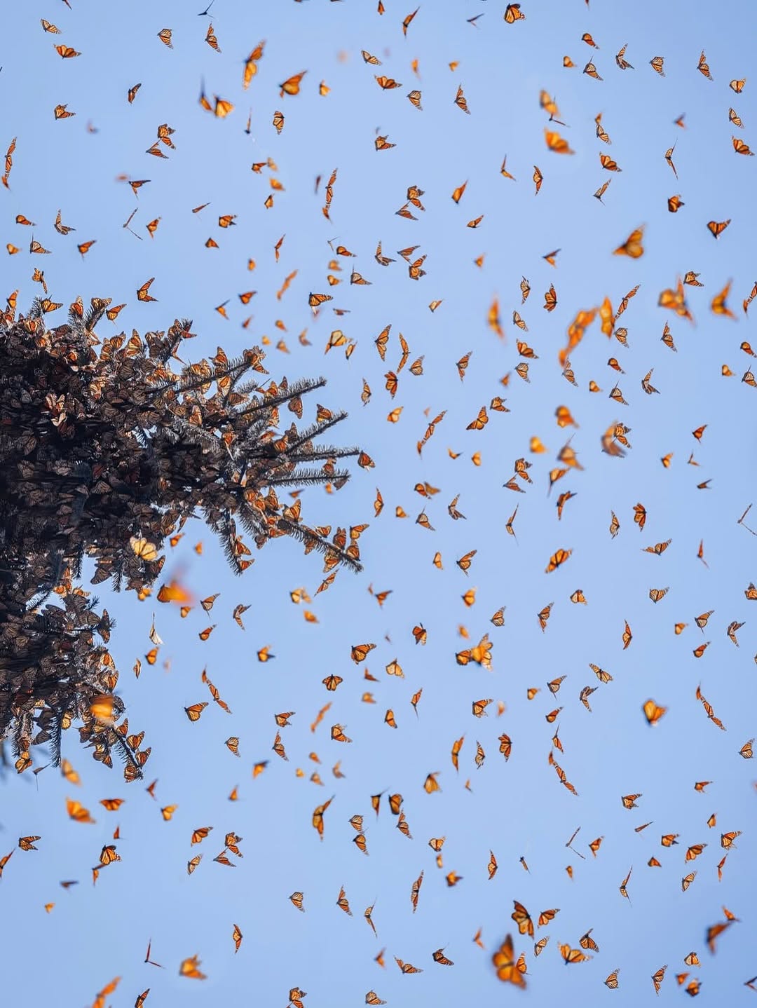 569409031_18552172102044850_803599554884841550_n