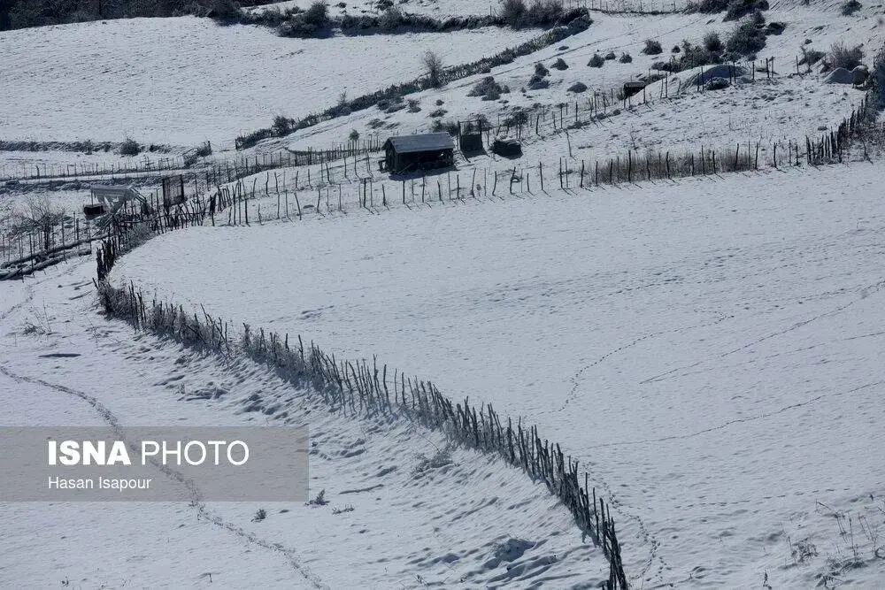 برف+در+سوادکوه (10)