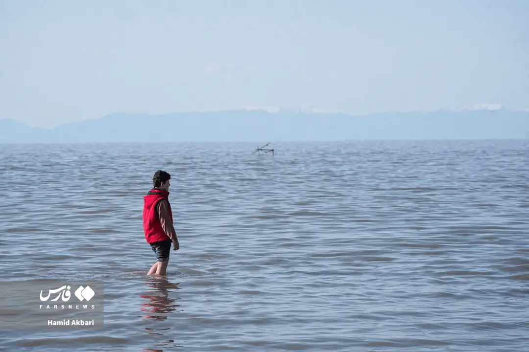 e79a2a01a520485ca45a1a642f52d861