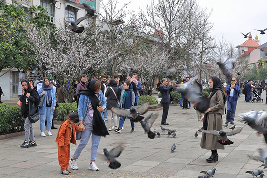 سویتنتتت