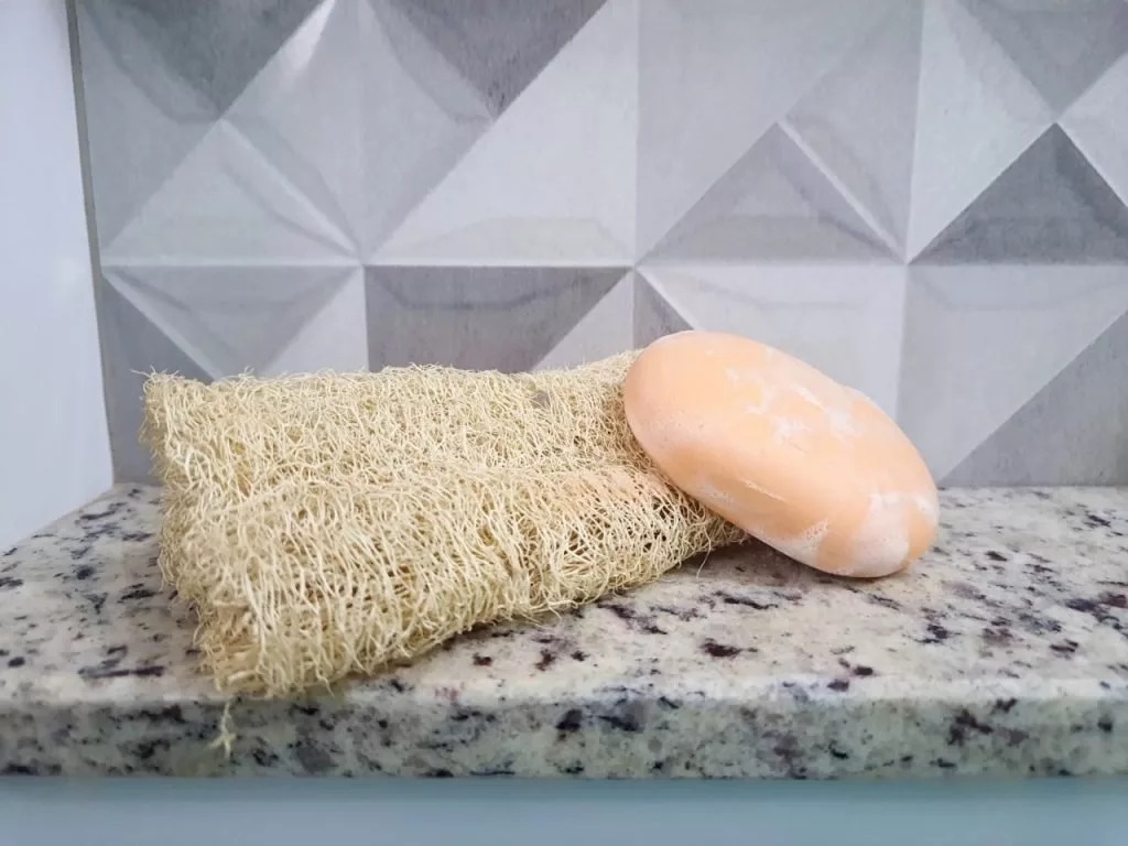 loofah-1024x768.jpg_11zon