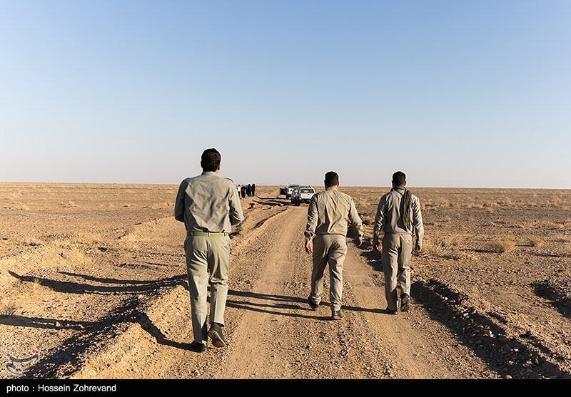 1404081012163616834541454