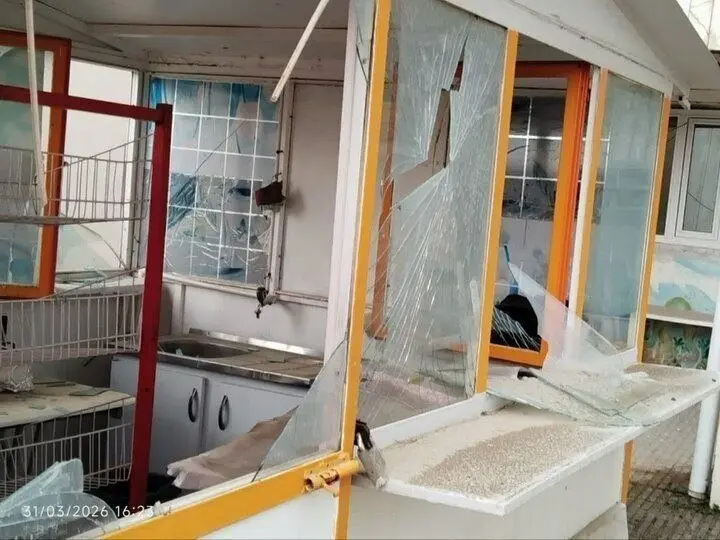 photo_2026-04-01_15-25-15