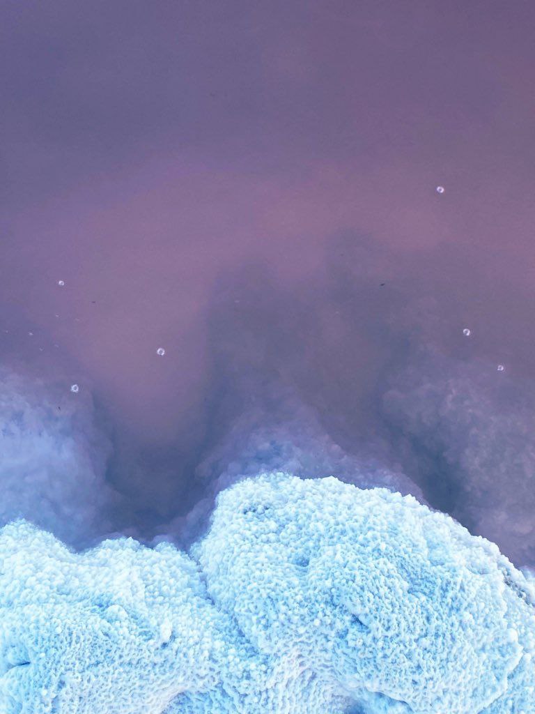 عکس‌های شگفت‌انگیز از حال خوشِ دریاچه ارومیه