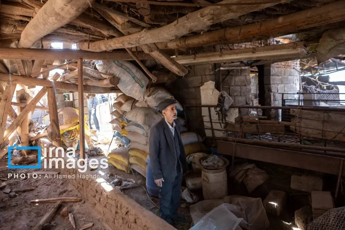 حمله+به+دامداری+خسروشهر (2)