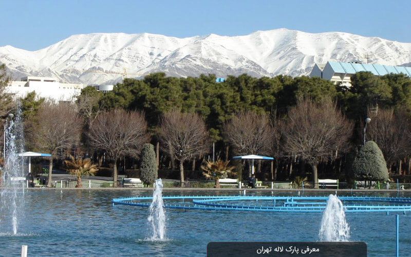 عکس غیرمنتظره‌ای که از پارک لاله تهران وایرال شد