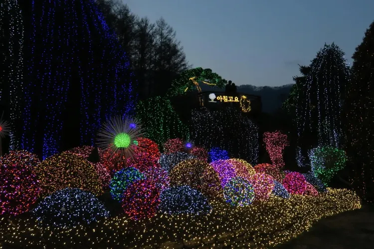 bought-a-camera-off-an-auction-found-possibly-the-holy-3-68ff83a2d829d3e43f046c23_11zon