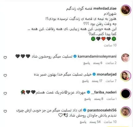 ضیایی