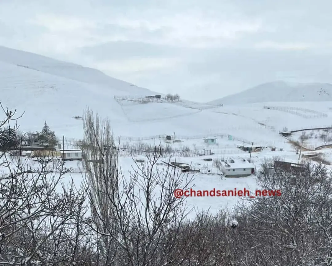 photo_2026-03-09_13-53-08