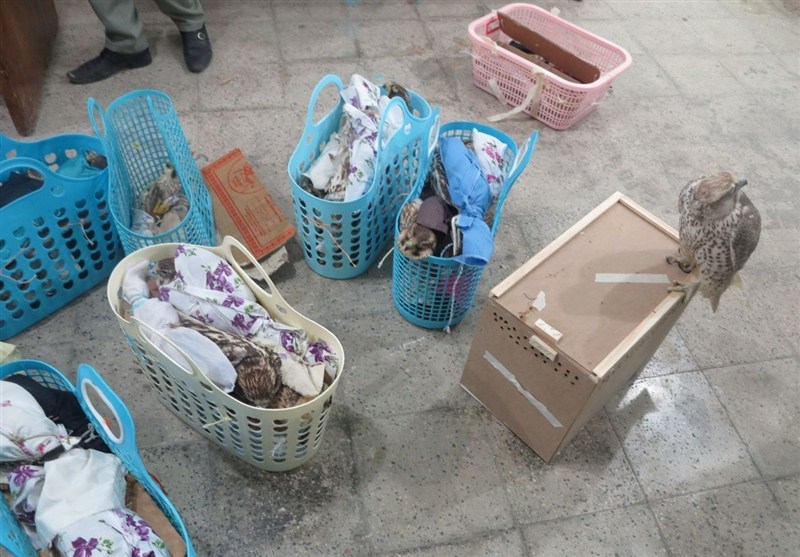 1404082212161882934678624