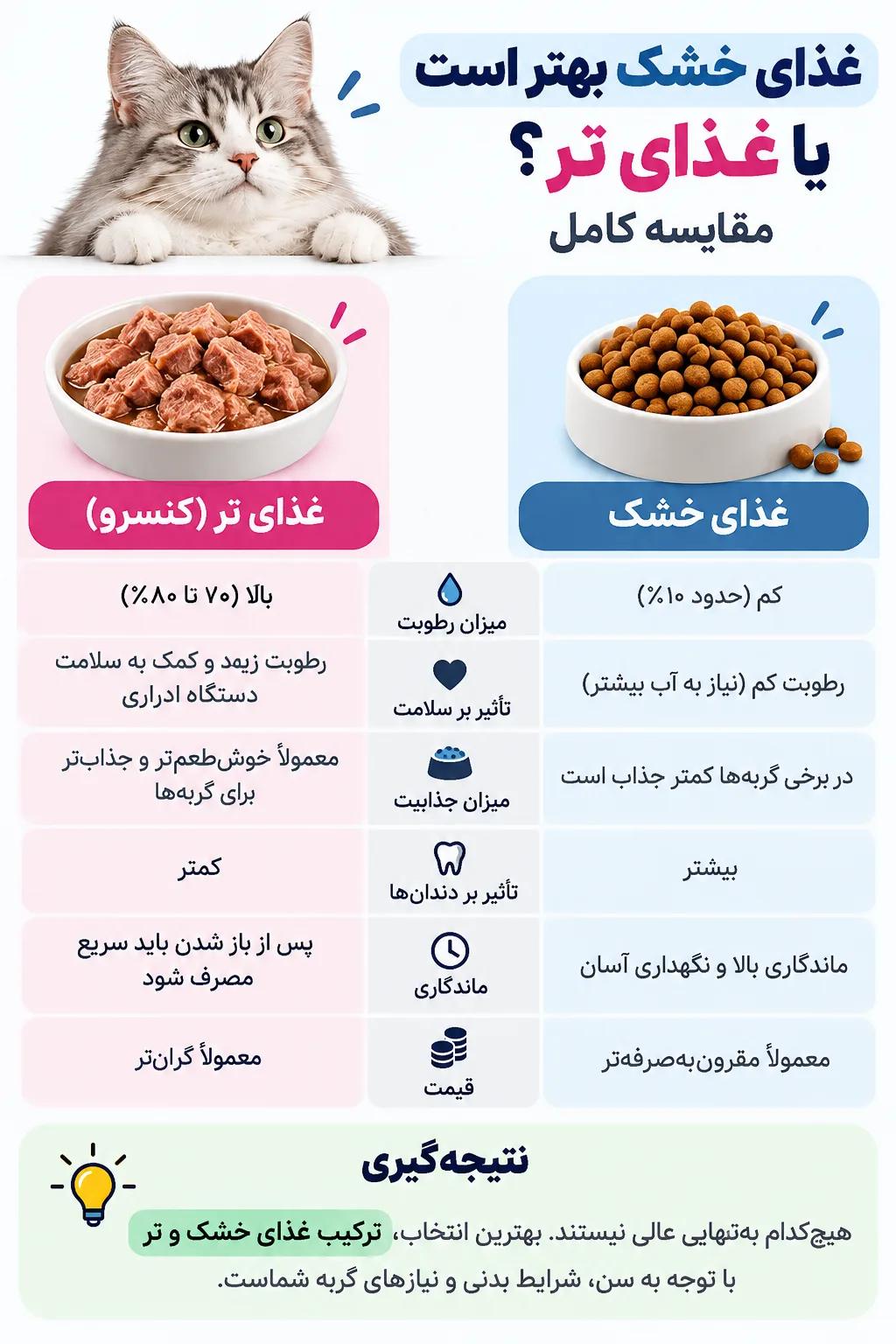 چه غذایی برای گربه خوبه؟ راهنمای کامل تغذیه گربه - تصویر 2